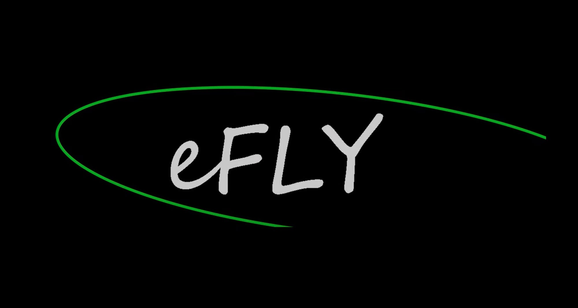 eFly video - click to play